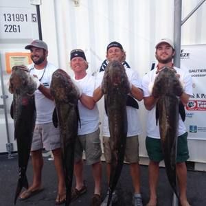 Meet your Posher, Alex